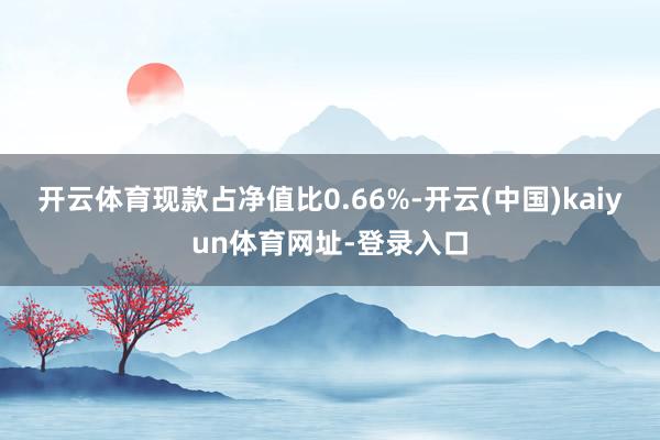 开云体育现款占净值比0.66%-开云(中国)kaiyun体育网址-登录入口