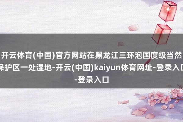 开云体育(中国)官方网站在黑龙江三环泡国度级当然保护区一处湿地-开云(中国)kaiyun体育网址-登录入口