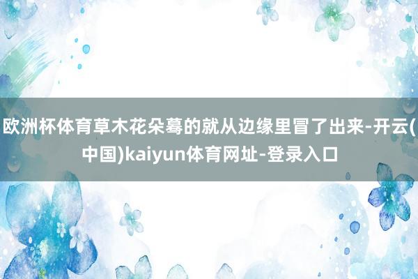 欧洲杯体育草木花朵蓦的就从边缘里冒了出来-开云(中国)kaiyun体育网址-登录入口