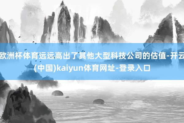 欧洲杯体育远远高出了其他大型科技公司的估值-开云(中国)kaiyun体育网址-登录入口