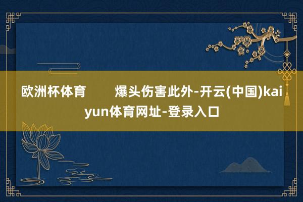 欧洲杯体育        爆头伤害此外-开云(中国)kaiyun体育网址-登录入口