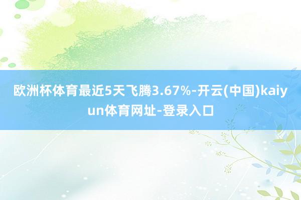 欧洲杯体育最近5天飞腾3.67%-开云(中国)kaiyun体育网址-登录入口