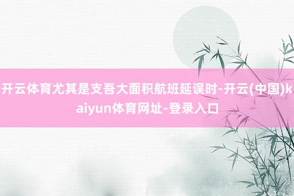 开云体育尤其是支吾大面积航班延误时-开云(中国)kaiyun体育网址-登录入口