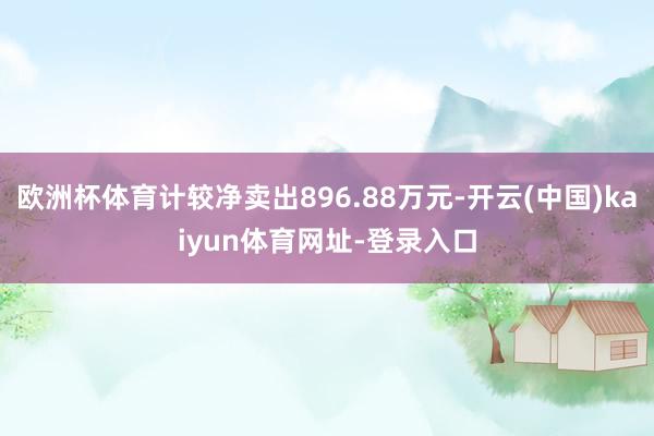 欧洲杯体育计较净卖出896.88万元-开云(中国)kaiyun体育网址-登录入口