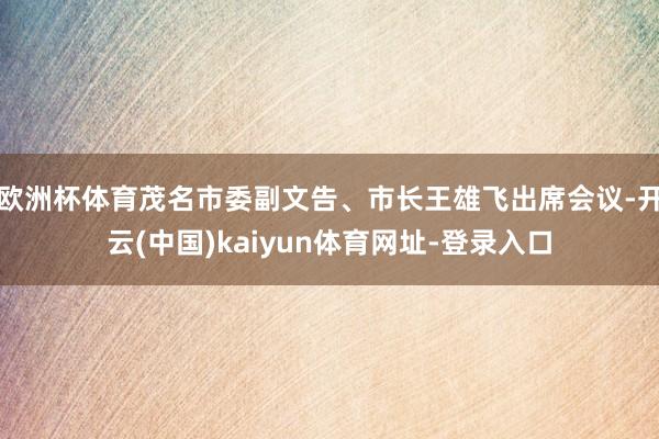 欧洲杯体育茂名市委副文告、市长王雄飞出席会议-开云(中国)kaiyun体育网址-登录入口