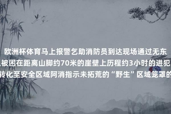 欧洲杯体育马上报警乞助消防员到达现场通过无东说念主机勘探发现男人被困在距离山脚约70米的崖壁上历程约3小时的进犯营救终于将被困男人转化至安全区域阿消指示未拓荒的“野生”区域笼罩的“危境”不为东说念主知宇宙在追求诗与迢遥的同期也要树立安全庞大感性遴选出行所在尽头是带小孩出行的大东说念主一定要珍藏安全发布于：北京市-开云(中国)kaiyun体育网址-登录入口
