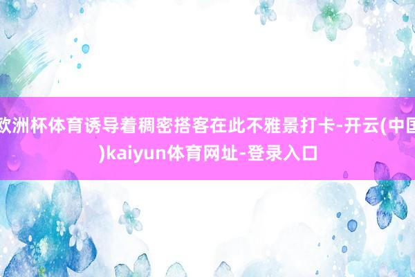 欧洲杯体育诱导着稠密搭客在此不雅景打卡-开云(中国)kaiyun体育网址-登录入口