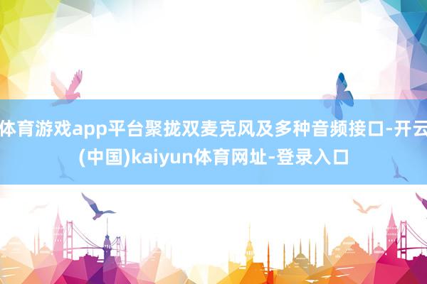体育游戏app平台聚拢双麦克风及多种音频接口-开云(中国)kaiyun体育网址-登录入口