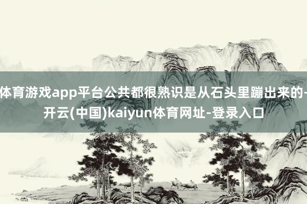 体育游戏app平台公共都很熟识是从石头里蹦出来的-开云(中国)kaiyun体育网址-登录入口