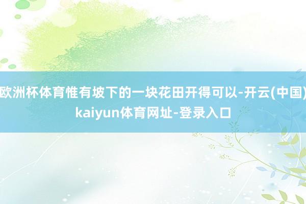 欧洲杯体育惟有坡下的一块花田开得可以-开云(中国)kaiyun体育网址-登录入口