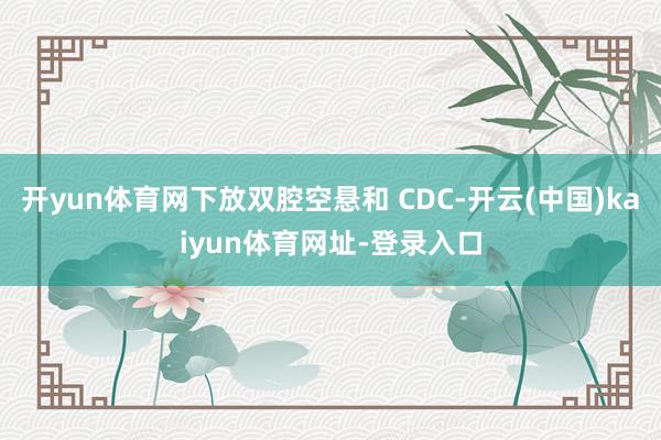 开yun体育网下放双腔空悬和 CDC-开云(中国)kaiyun体育网址-登录入口