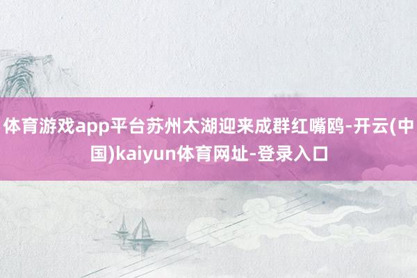 体育游戏app平台苏州太湖迎来成群红嘴鸥-开云(中国)kaiyun体育网址-登录入口