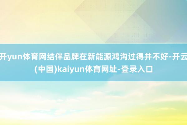 开yun体育网结伴品牌在新能源鸿沟过得并不好-开云(中国)kaiyun体育网址-登录入口